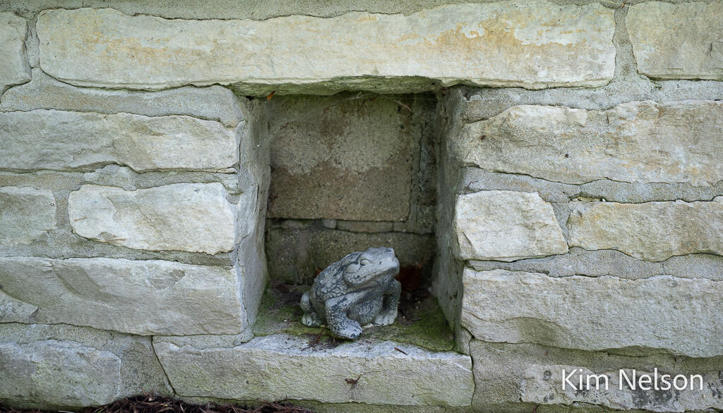 6124 Murray Road Whitehall, MI 49461 - Photo 74 of 120 6124MurrayRd-10LoRes