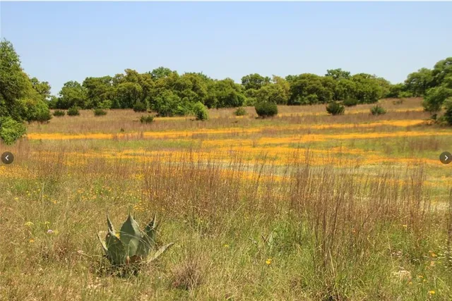 $950,000 | 920 Crosswind Drive, Blanco, TX 78606