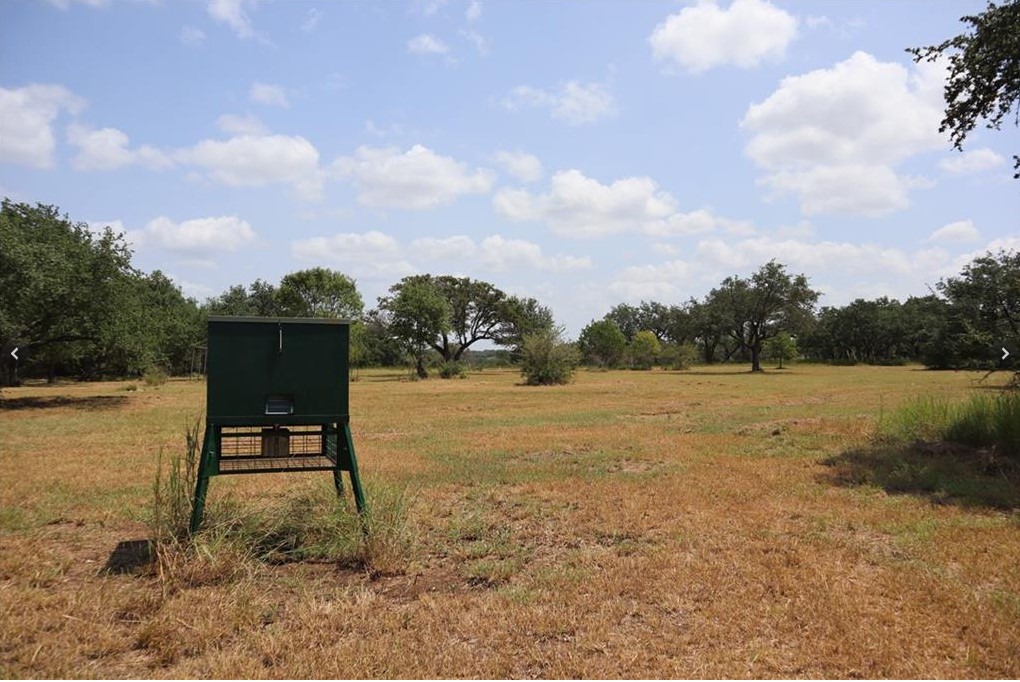 920 Crosswind Drive Blanco, TX 78606 - Photo 17 of 23 View of yard with a rural view