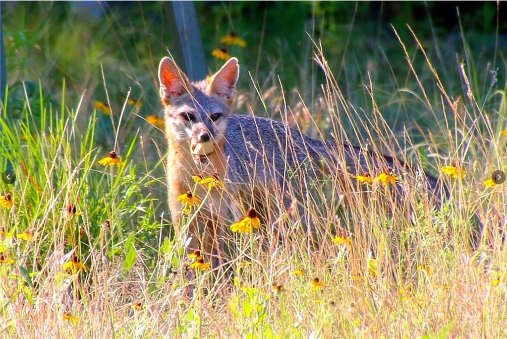 920 Crosswind Drive Blanco, TX 78606 - Photo 18 of 23 View of details