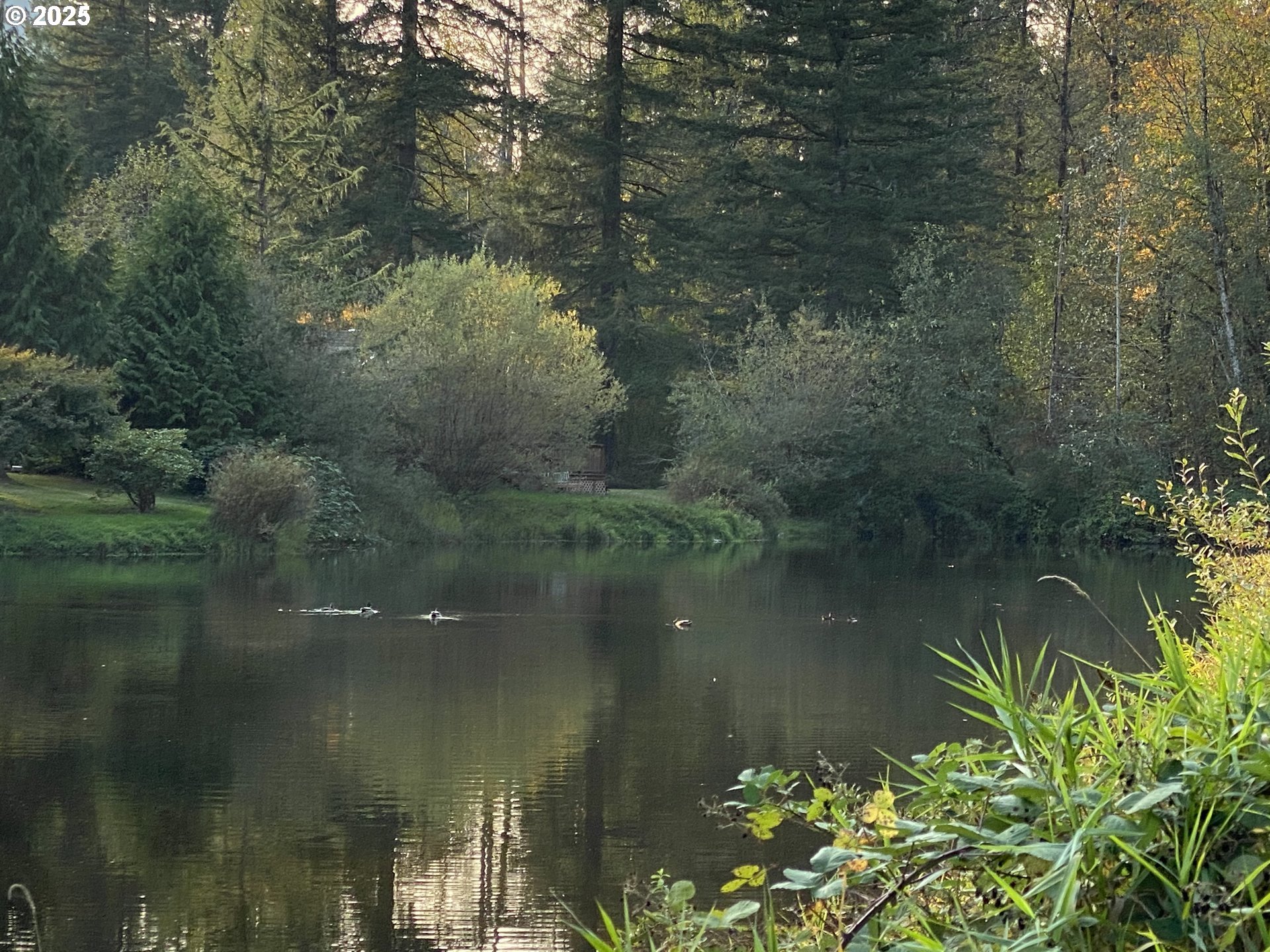 65000 Highway 26, Unit WFB50 Welches, OR 97067 - Photo 27 of 30