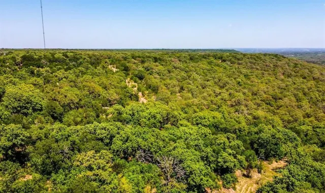 a view of a large yard