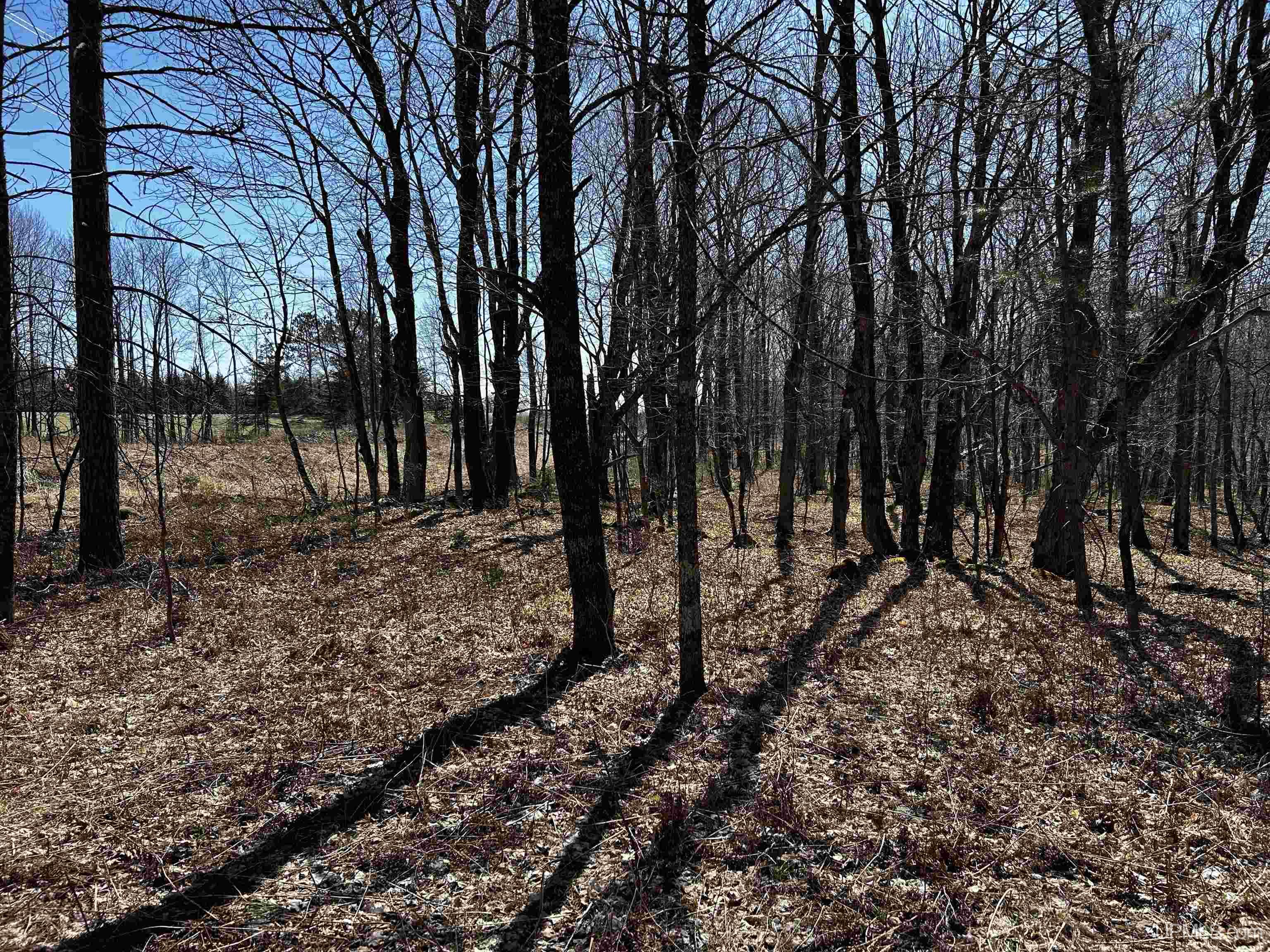 Tbd Tbd Burma Parcel B Road Bessemer, MI 49911 - Photo 8 of 10