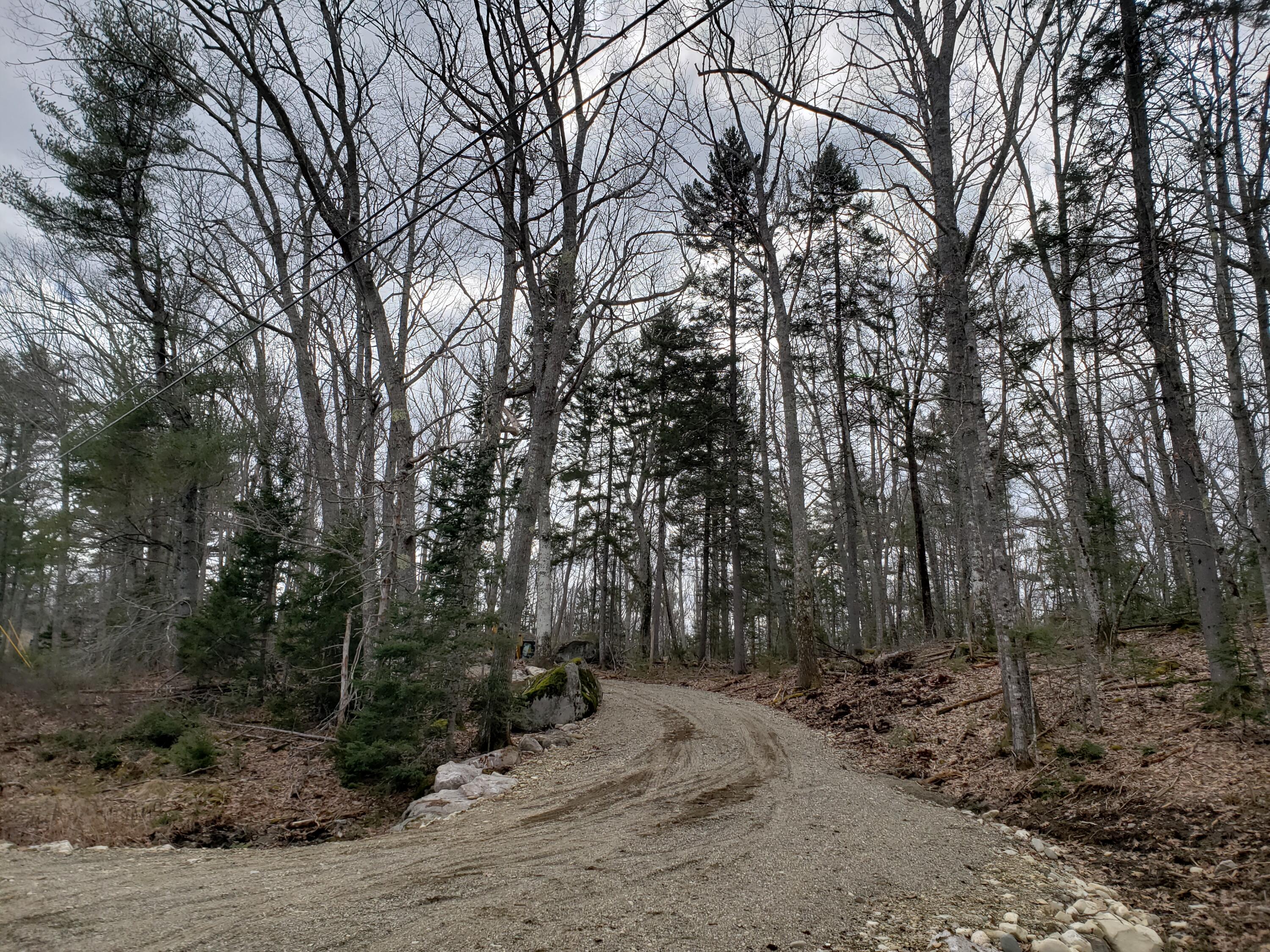 823 Castine Road Orland, ME 04472 - Photo 2 of 25 20220326_141317