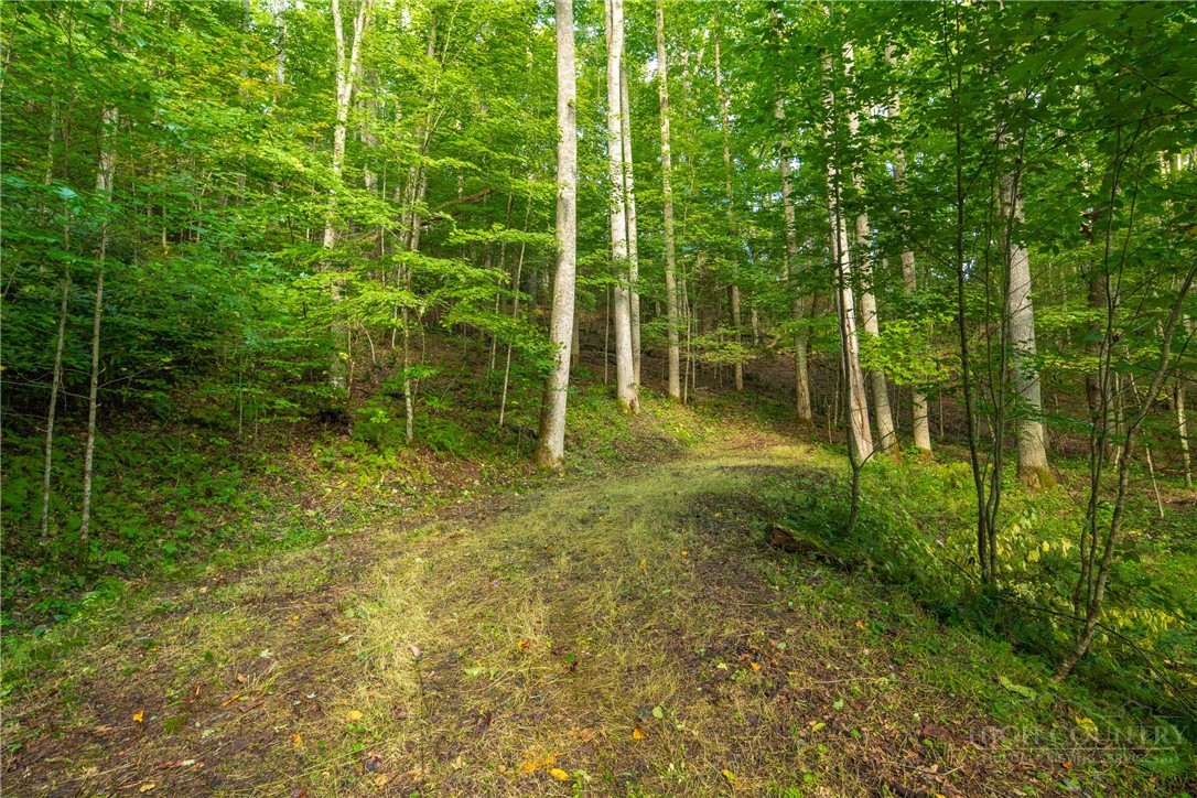Wasatch Drive Boone, NC 28607 - Photo 20 of 33 Gallery Image 20