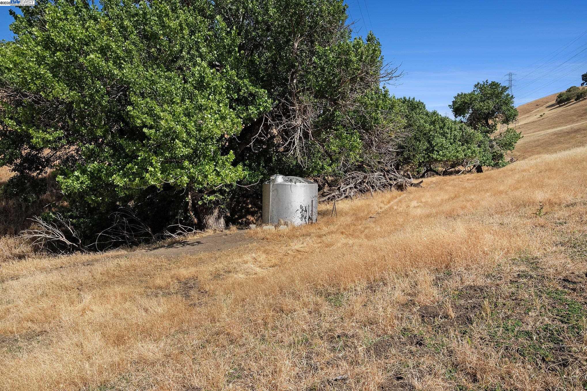 5799 Nortonville Road Pittsburg, CA 94565 - Photo 50 of 59 a view of a yard with a tree