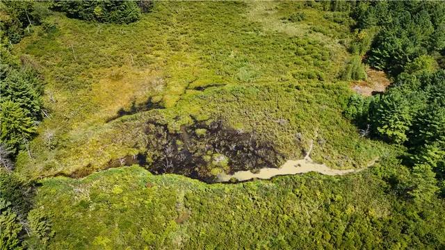 $469,900 | 39245 Hyde Lake Road, Theresa, NY 13691