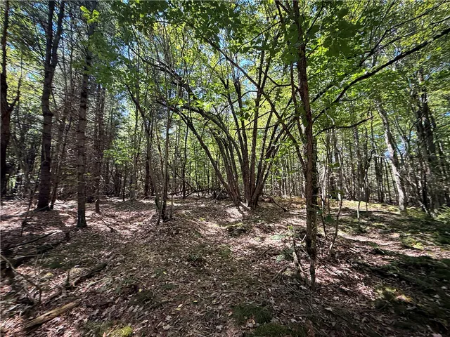 $469,900 | 39245 Hyde Lake Road, Theresa, NY 13691