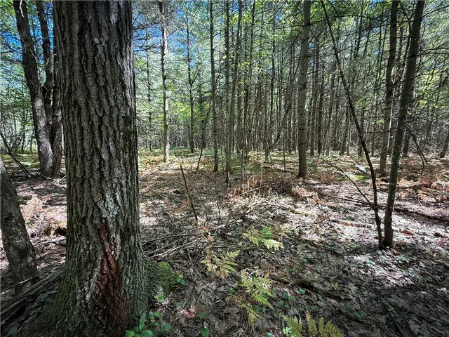 $469,900 | 39245 Hyde Lake Road, Theresa, NY 13691