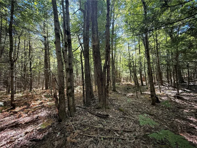 $469,900 | 39245 Hyde Lake Road, Theresa, NY 13691