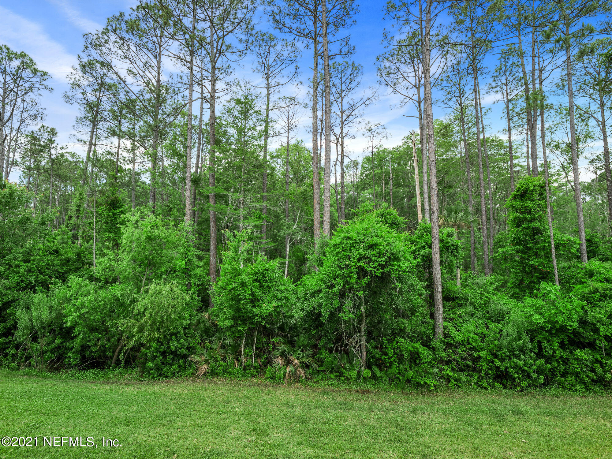 61 Spring Tide Way Ponte Vedra, FL 32081 - Photo 15 of 56 Peaceful Preserve Views