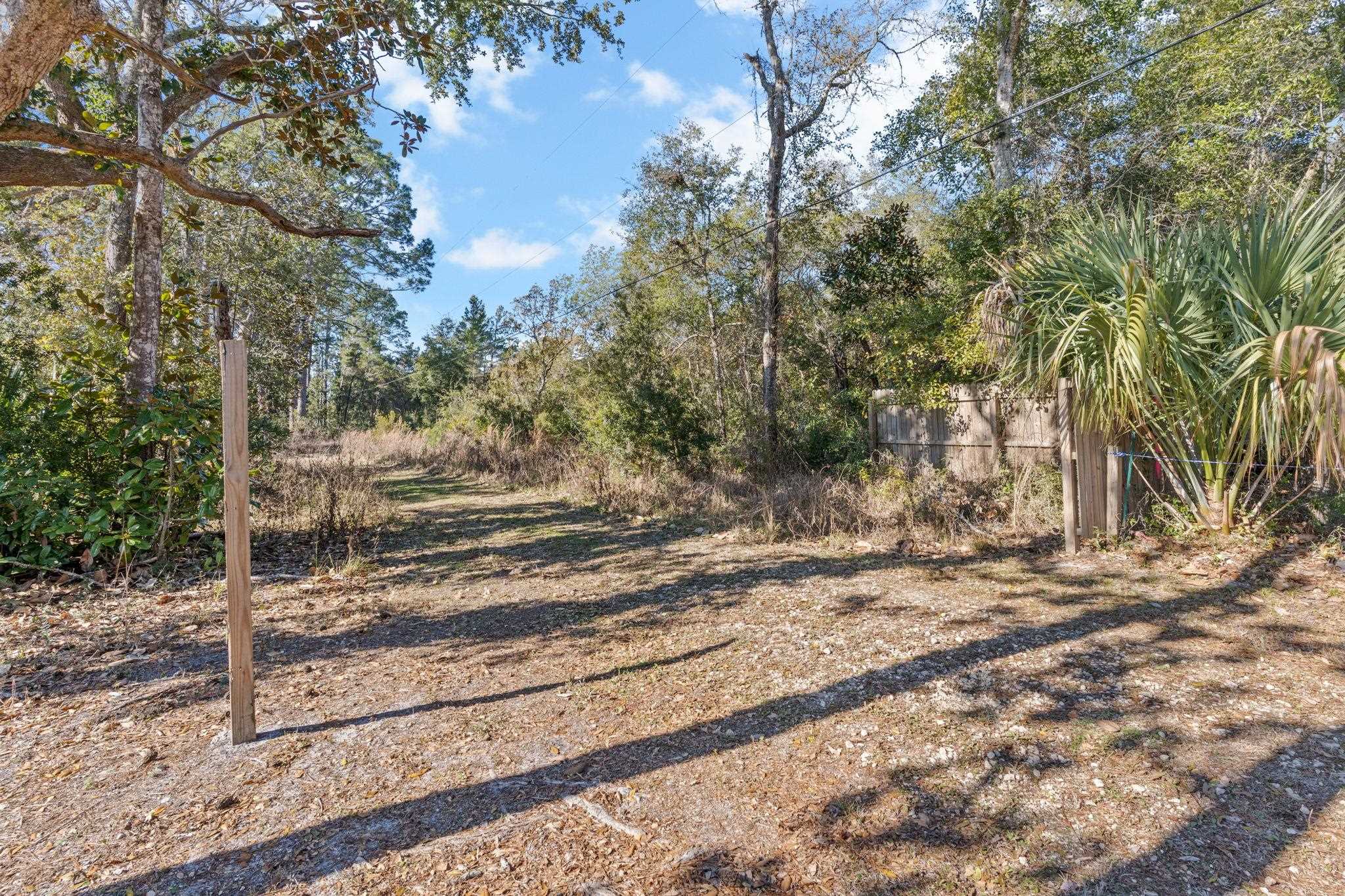 115 Kansas Street Carrabelle, FL 32322 - Photo 13 of 18