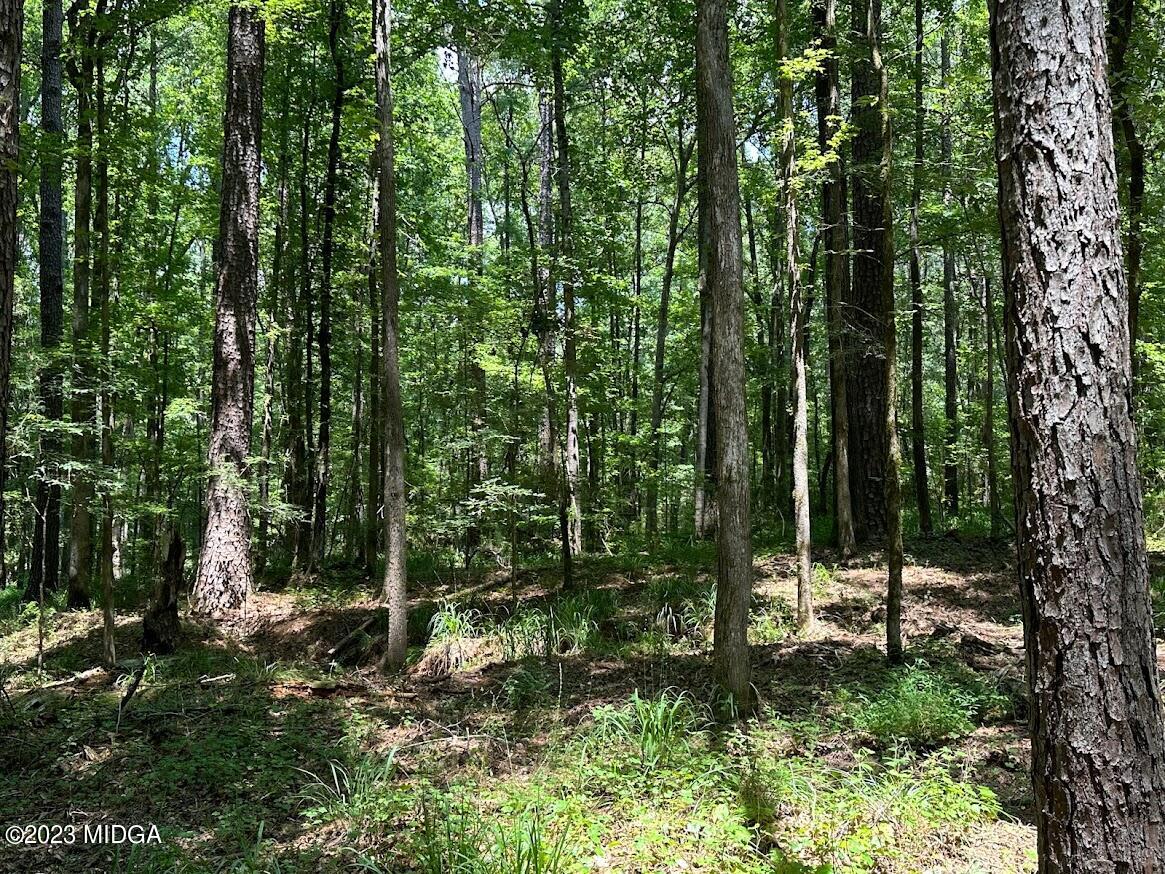 533 Giles Road Forsyth, GA 31029 - Photo 14 of 28 a view of outdoor space and yard
