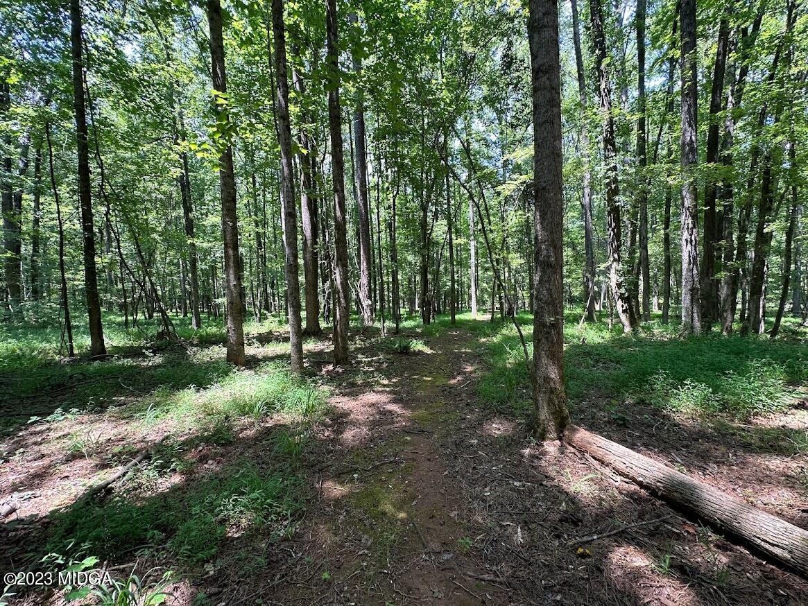 533 Giles Road Forsyth, GA 31029 - Photo 15 of 28 a view of outdoor space and green space
