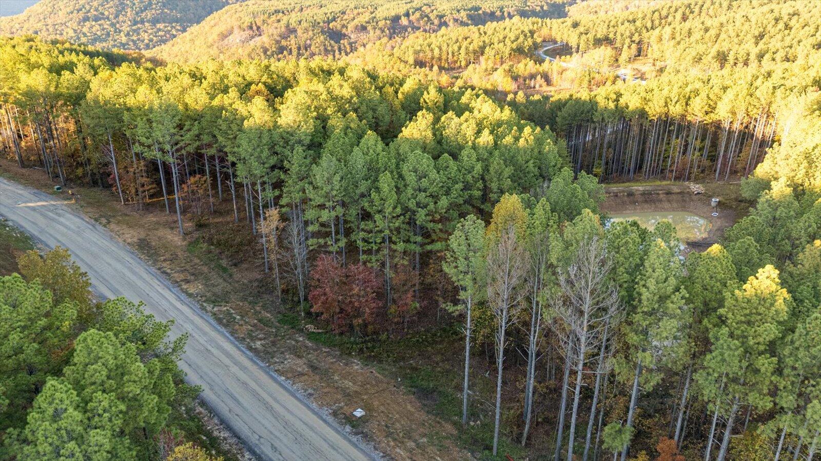 0 Split Rail Way, Unit LOT 1127 Guild, TN 37340 - Photo 7 of 25 06-1127 Split Rail Way-6