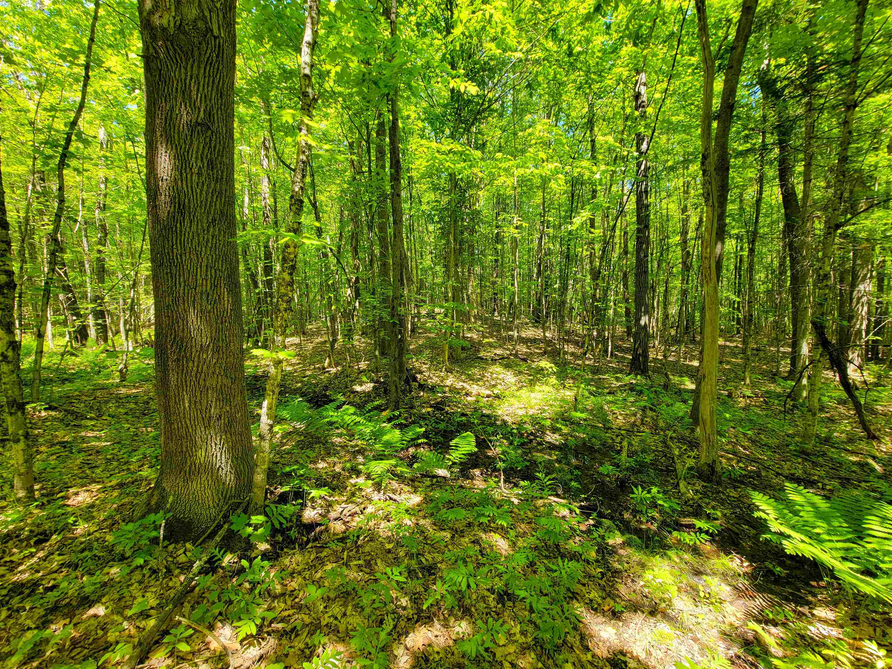 310 Sky Farm Lane Barnet, VT 05821 - Photo 43 of 59