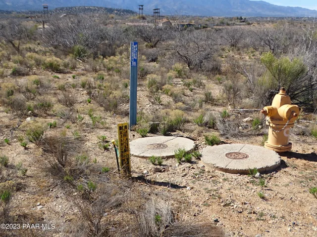 a view of a pathway of the yard and an empty space