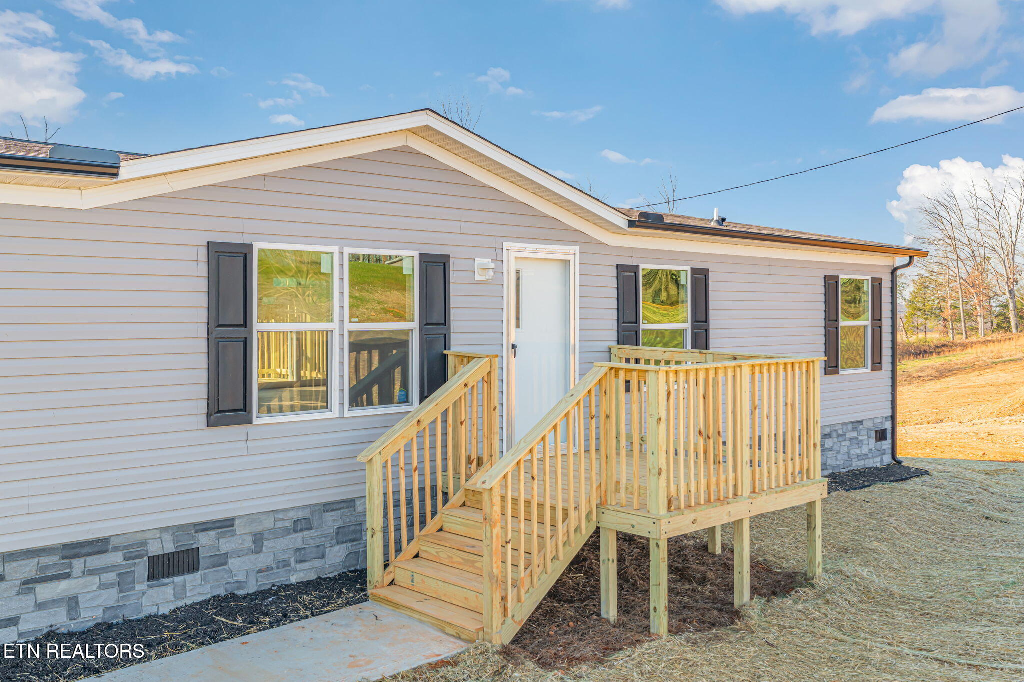 253 Laura Boling Loop Road Strawberry Plains, TN 37871 - Photo 4 of 41 4