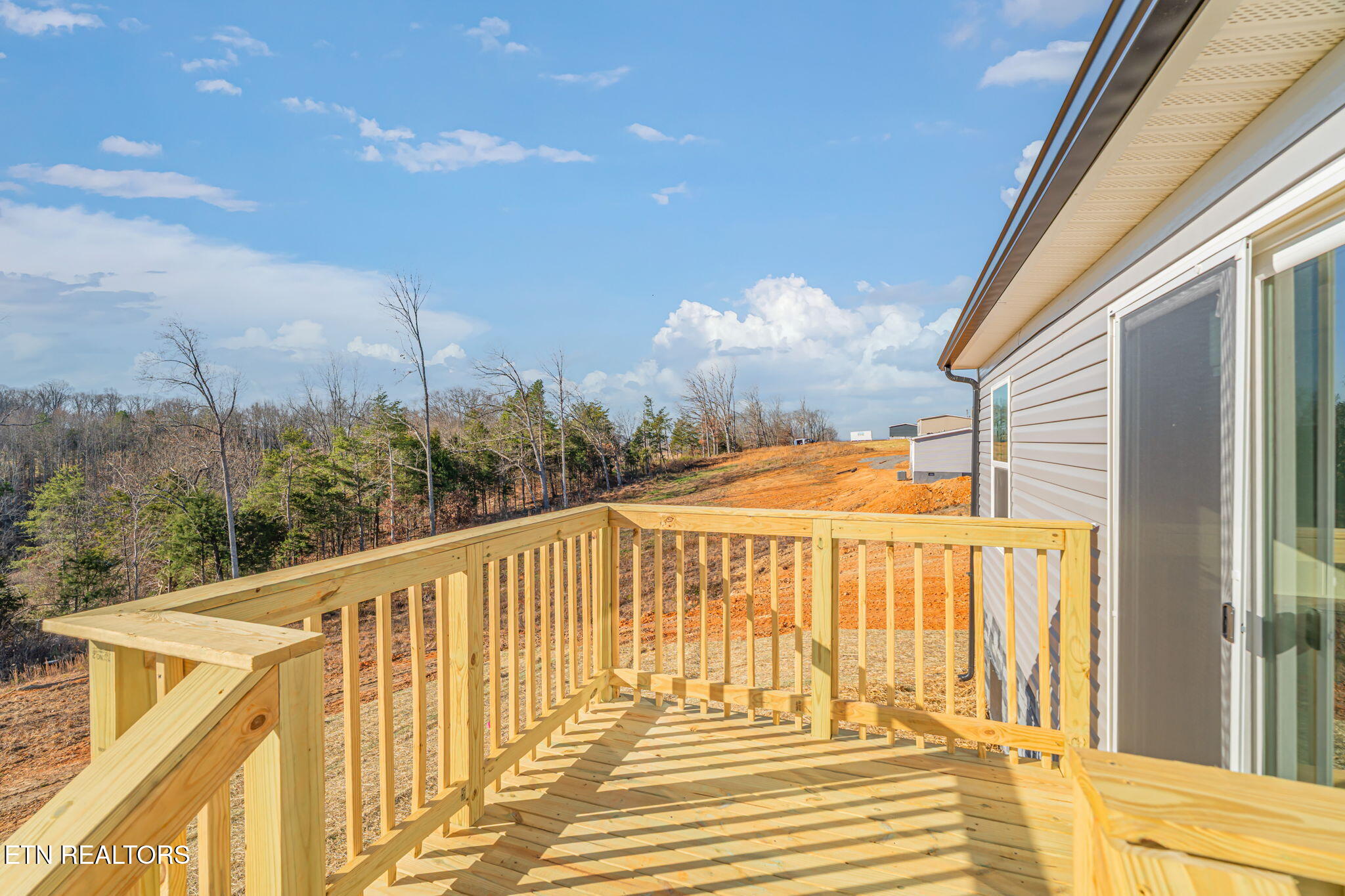 253 Laura Boling Loop Road Strawberry Plains, TN 37871 - Photo 8 of 41 8