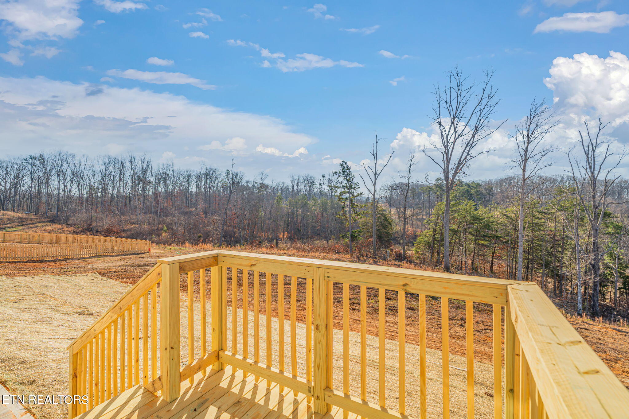 253 Laura Boling Loop Road Strawberry Plains, TN 37871 - Photo 9 of 41 9