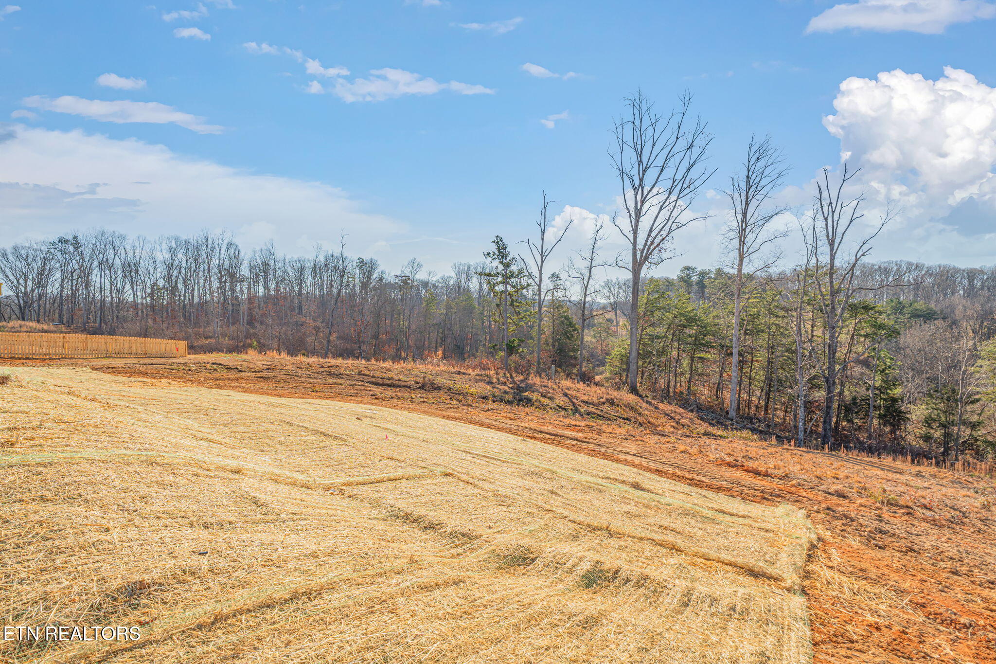 253 Laura Boling Loop Road Strawberry Plains, TN 37871 - Photo 10 of 41 10