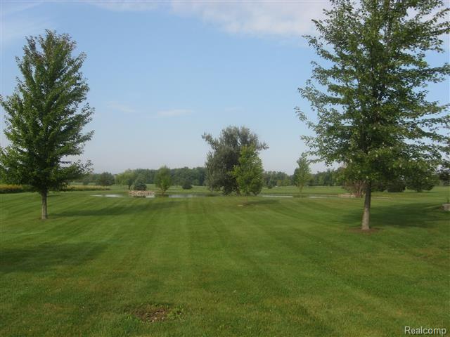 4721 Capac Road Capac, MI 48014 - Photo 67 of 76 24 (4).jpg