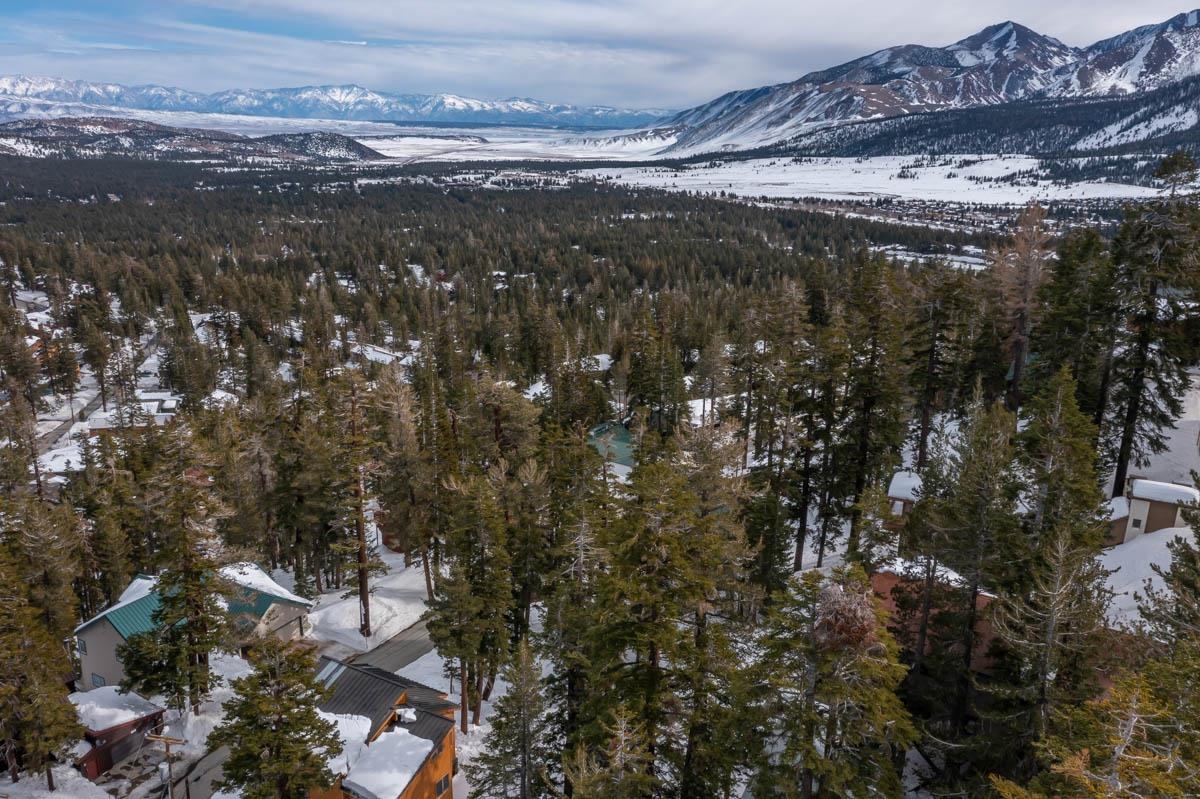 373 John Muir Road Mammoth Lakes, CA 93546 - Photo 13 of 16 Gallery Image 13