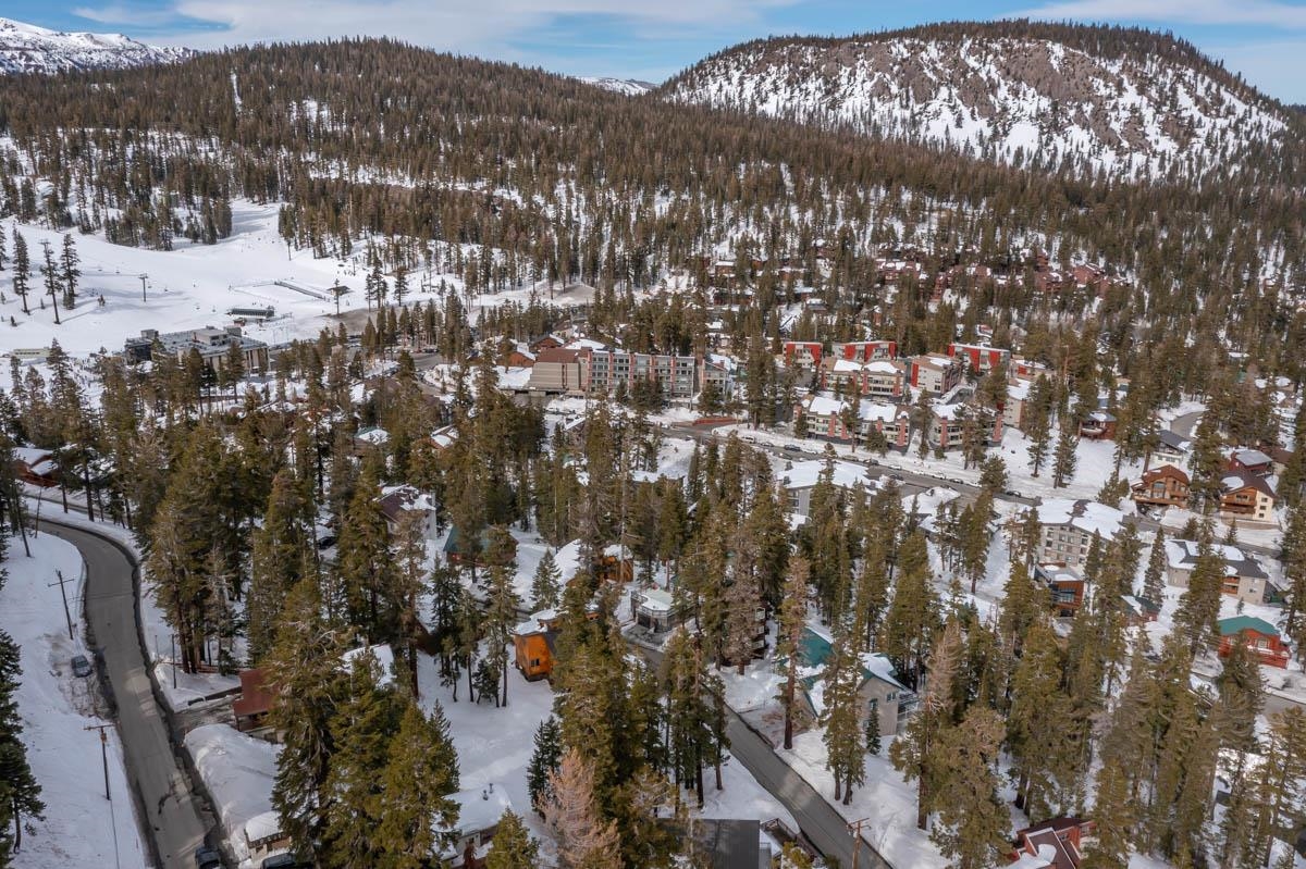 373 John Muir Road Mammoth Lakes, CA 93546 - Photo 6 of 16 Gallery Image 6