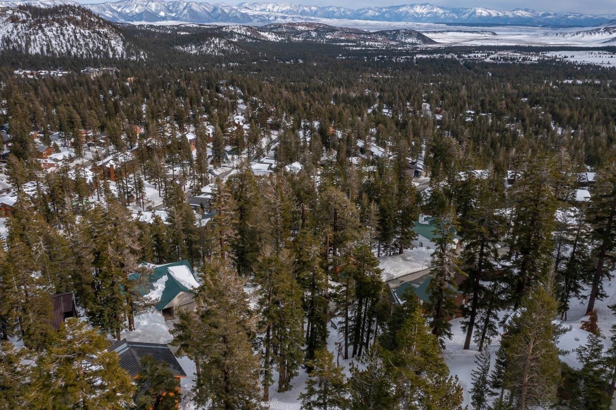 373 John Muir Road Mammoth Lakes, CA 93546 - Photo 10 of 16 Gallery Image 10