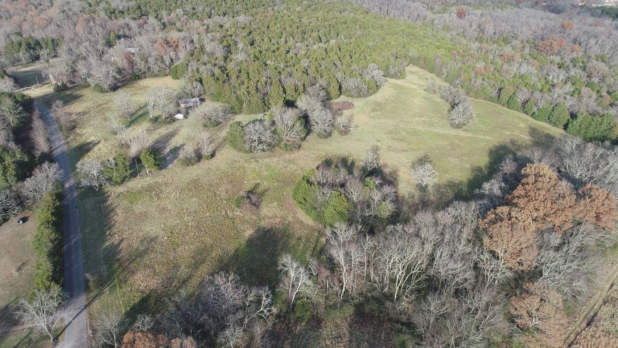 a view of a dry yard