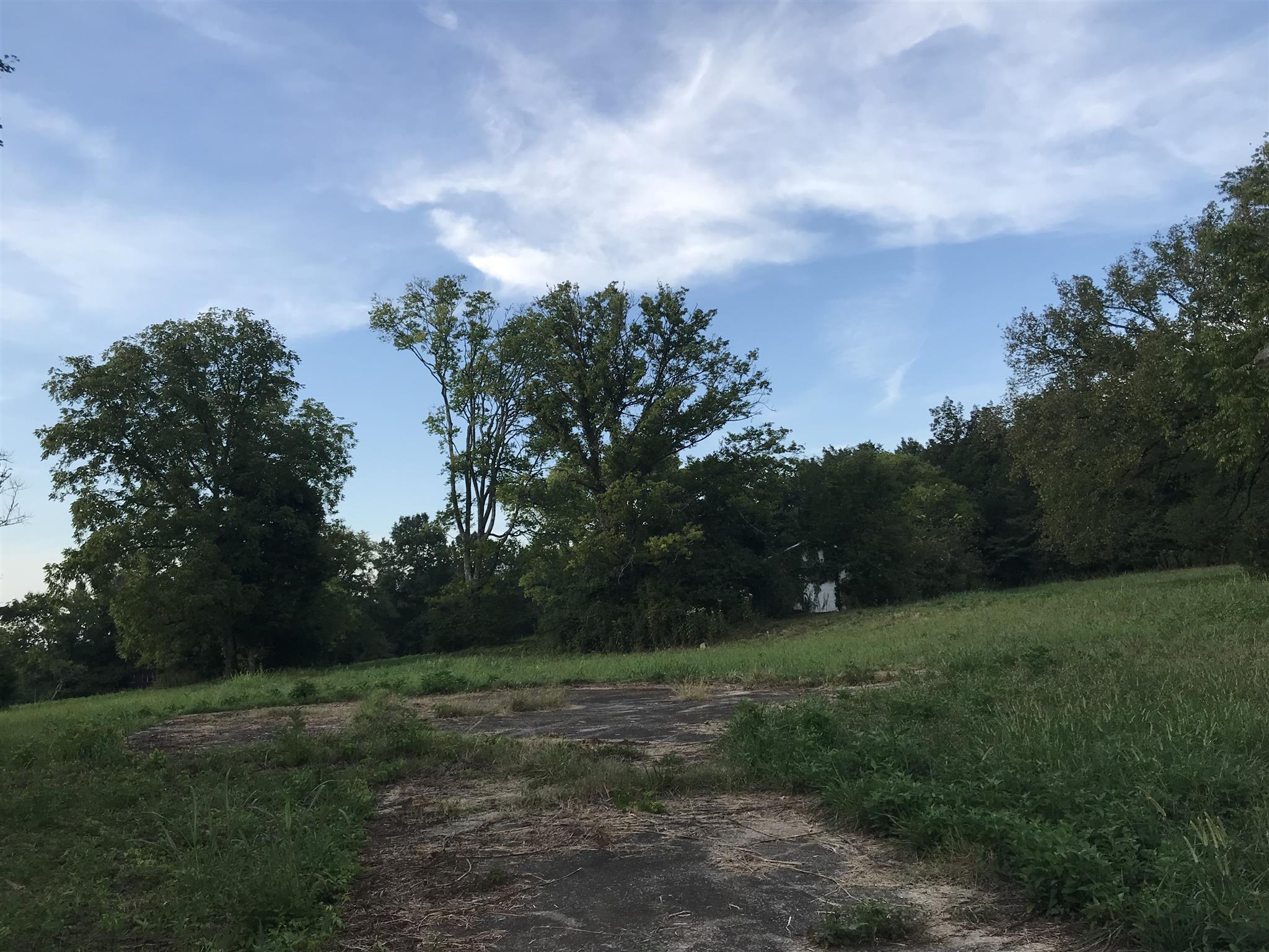 2069 Crescentview Road Pulaski, TN 38478 - Photo 11 of 13 a view of a field of grass and trees
