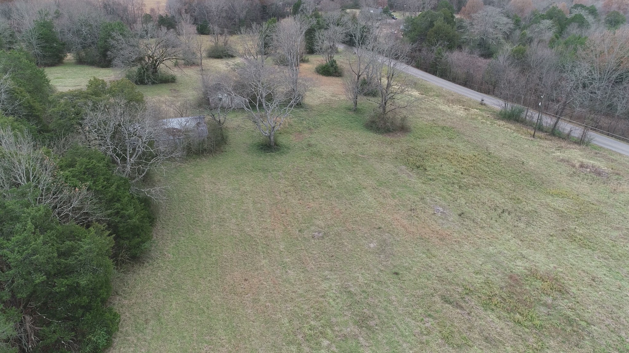 2069 Crescentview Road Pulaski, TN 38478 - Photo 12 of 13 a view of a dry yard with trees
