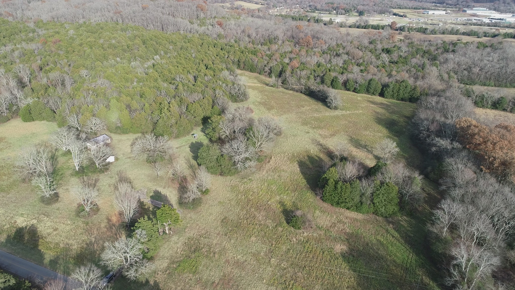 2069 Crescentview Road Pulaski, TN 38478 - Photo 3 of 13 a view of a forest with a forest