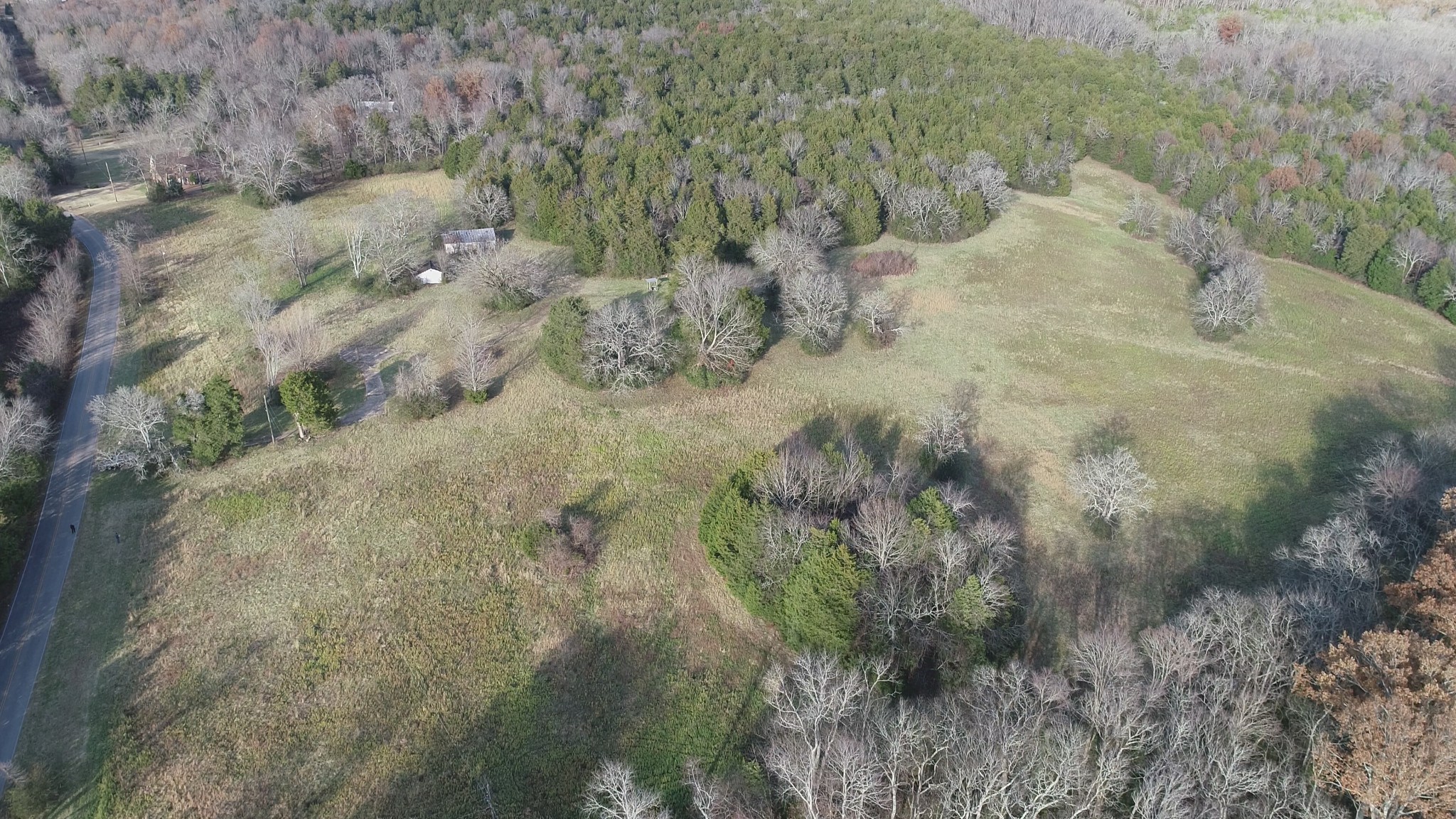 2069 Crescentview Road Pulaski, TN 38478 - Photo 4 of 13 a view of a dry yard