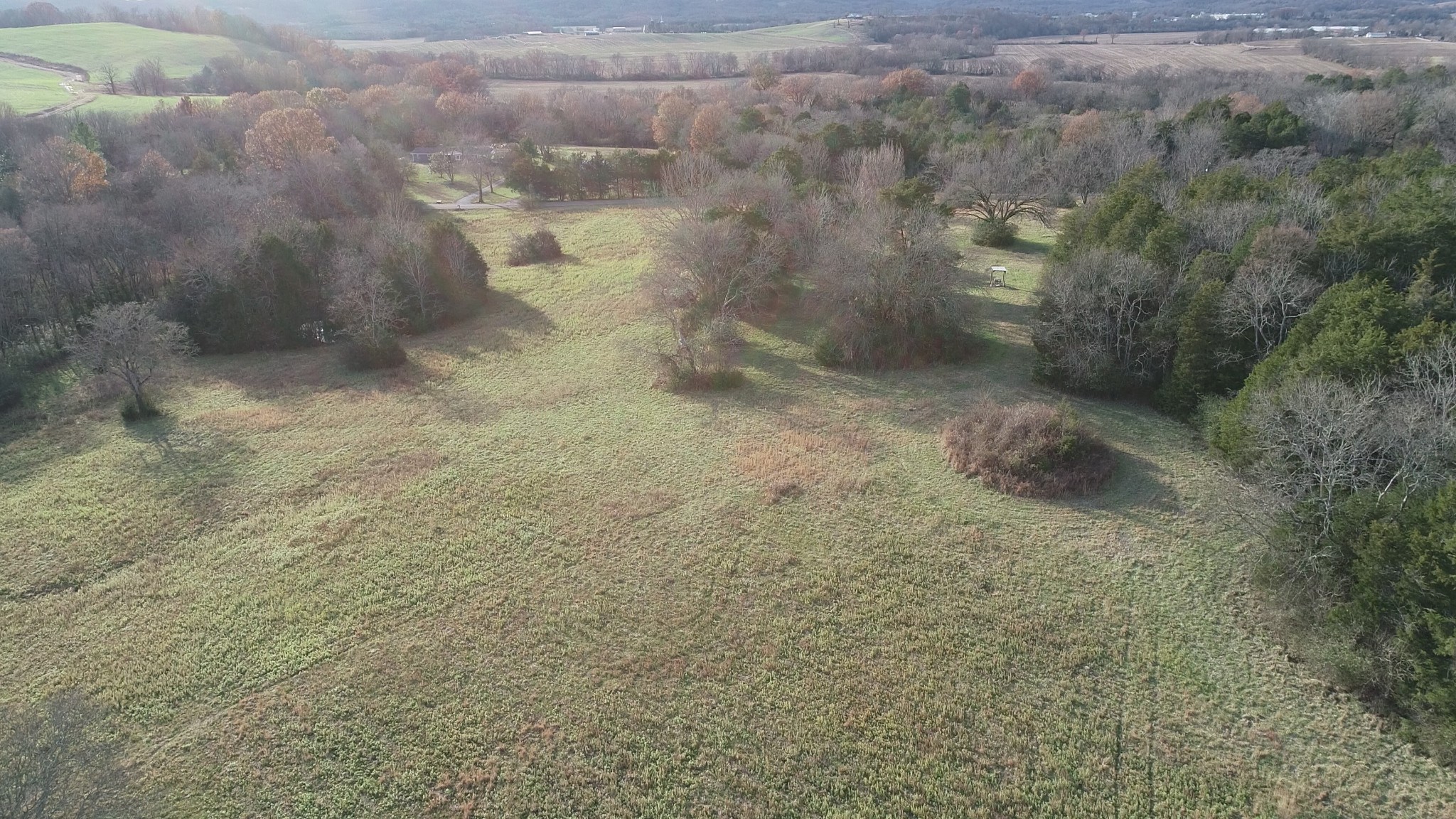 2069 Crescentview Road Pulaski, TN 38478 - Photo 6 of 13 a view of a dry yard
