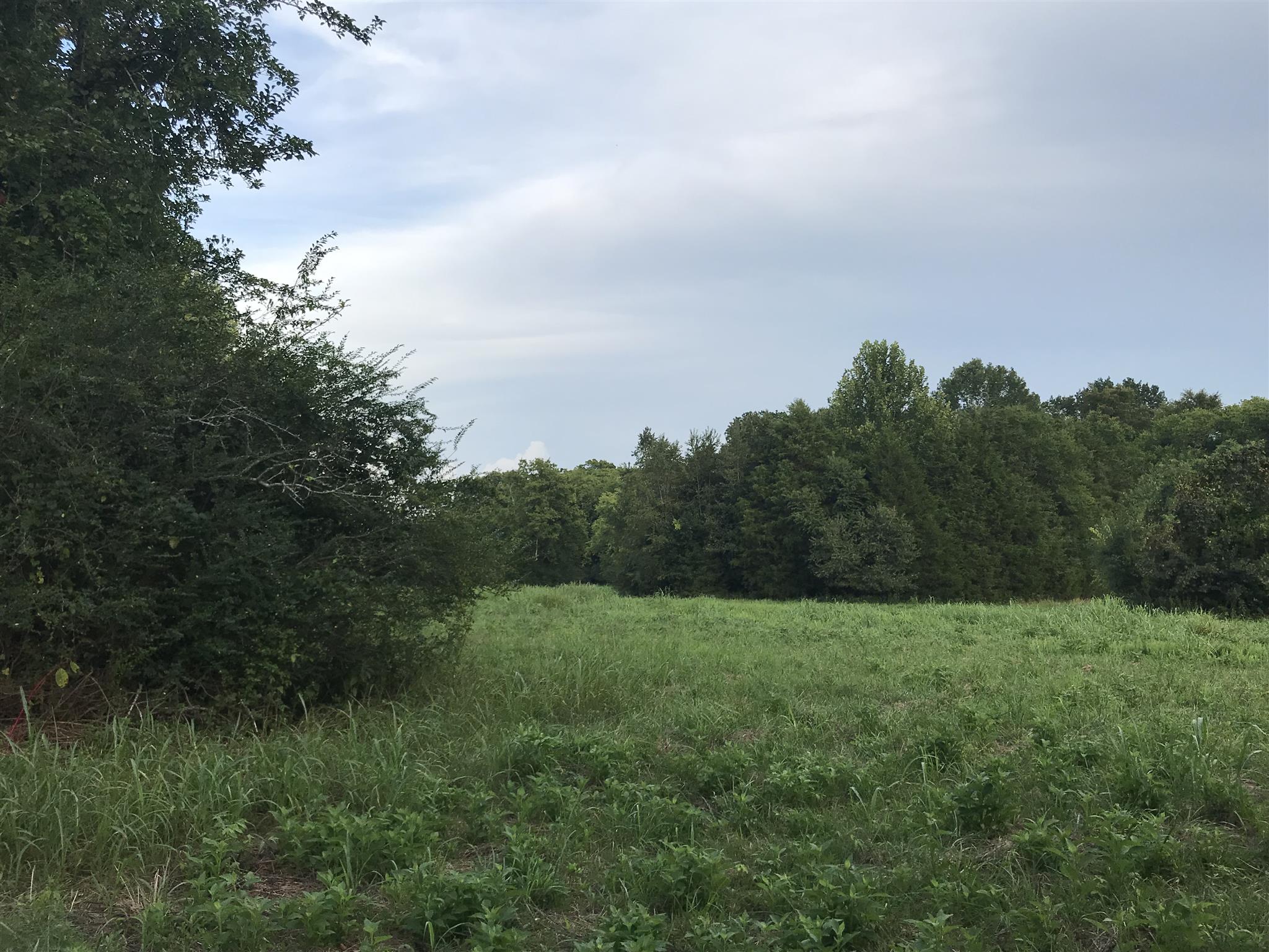 2069 Crescentview Road Pulaski, TN 38478 - Photo 10 of 13 a view of a grassy field with trees in the background