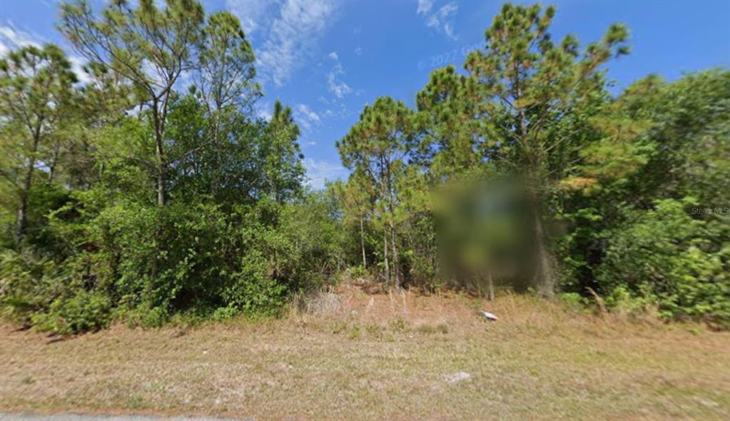 1365 Shields Street Punta Gorda, FL 33980 - Photo 7 of 14 a view of a lake yard with plants and tree