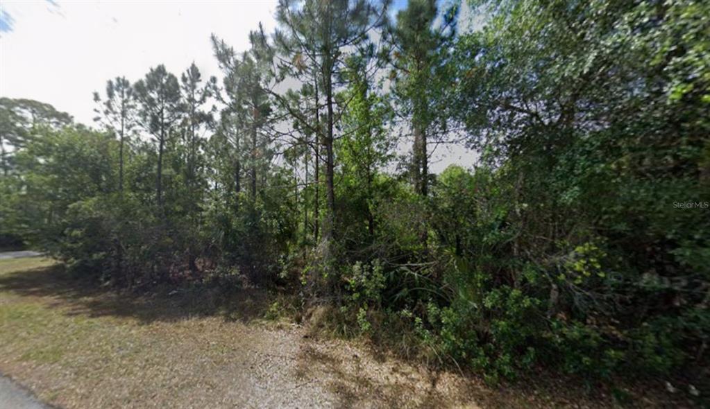 1365 Shields Street Punta Gorda, FL 33980 - Photo 8 of 14 a view of a yard with large trees