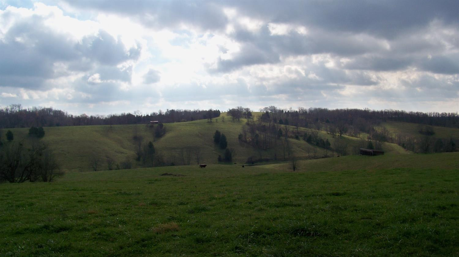 5040 Stepstone Road Mount Sterling, KY 40353 - Photo 10 of 51 Photo 10