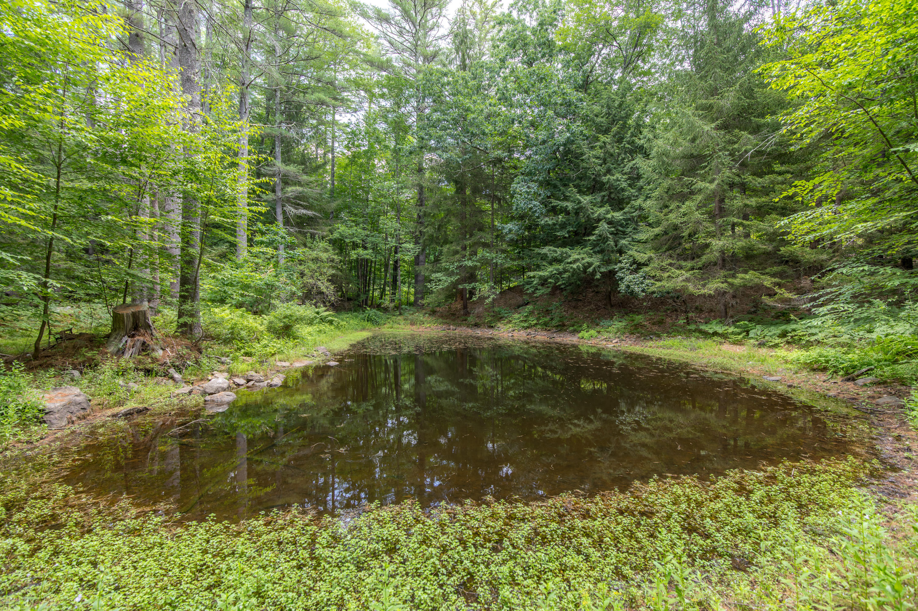 31 Elm Street Springvale, ME 04083 - Photo 51 of 64 31 Elm Street Springvale-11