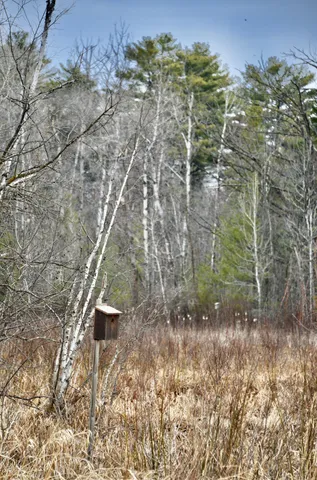 $958,900 | 15324 61st Avenue, Milaca, MN 56353