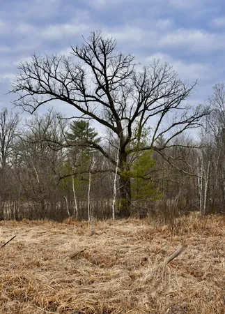 $958,000 | 15324 61st Avenue, Milaca, MN 56353