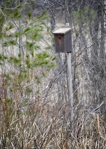 $958,900 | 15324 61st Avenue, Milaca, MN 56353