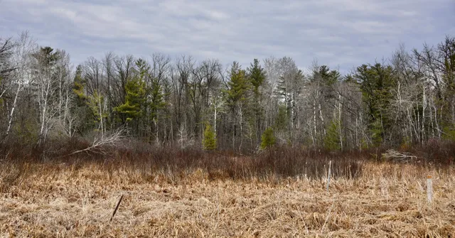 $958,900 | 15324 61st Avenue, Milaca, MN 56353