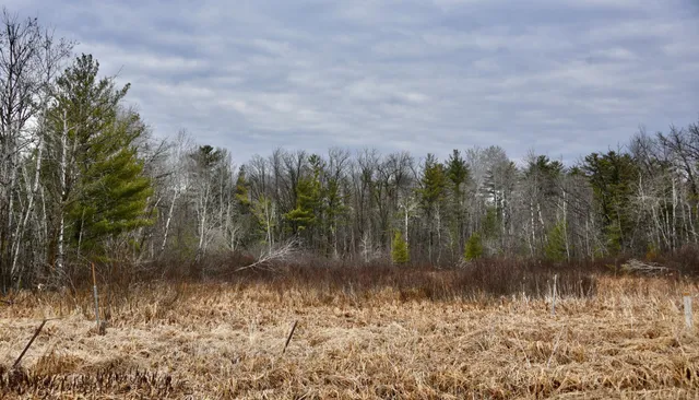 $958,900 | 15324 61st Avenue, Milaca, MN 56353