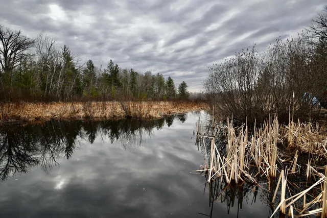 $958,900 | 15324 61st Avenue, Milaca, MN 56353