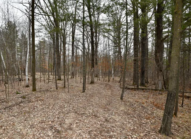 $958,900 | 15324 61st Avenue, Milaca, MN 56353