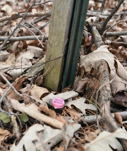 $958,900 | 15324 61st Avenue, Milaca, MN 56353