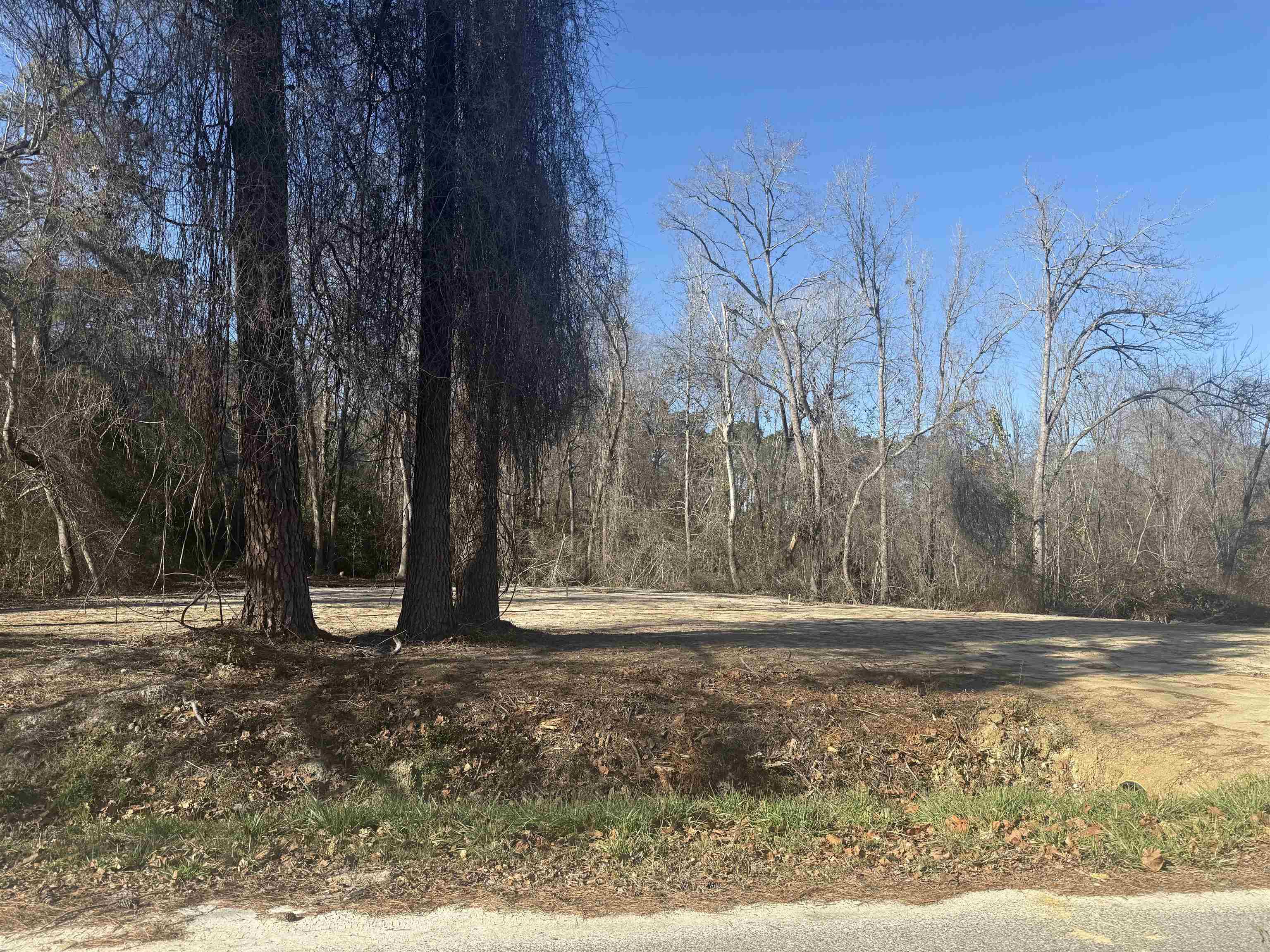 Sunset Drive Conway, SC 29526 - Photo 3 of 4