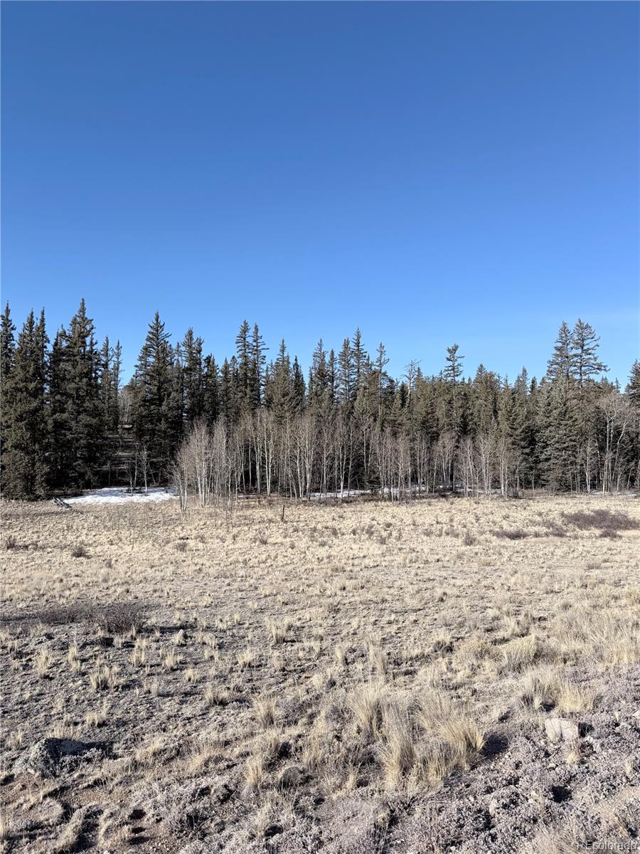 50 Rawhide Way Como, CO 80432 - Photo 2 of 12 a view of dirt road and a building in the background